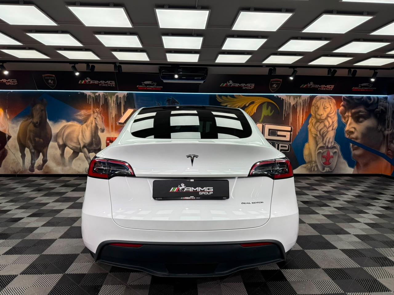 Tesla Model Y Long Range AWD (349)