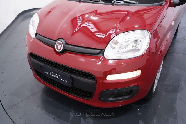 FIAT New Panda My25 1.0 FireFly S&S Hybrid