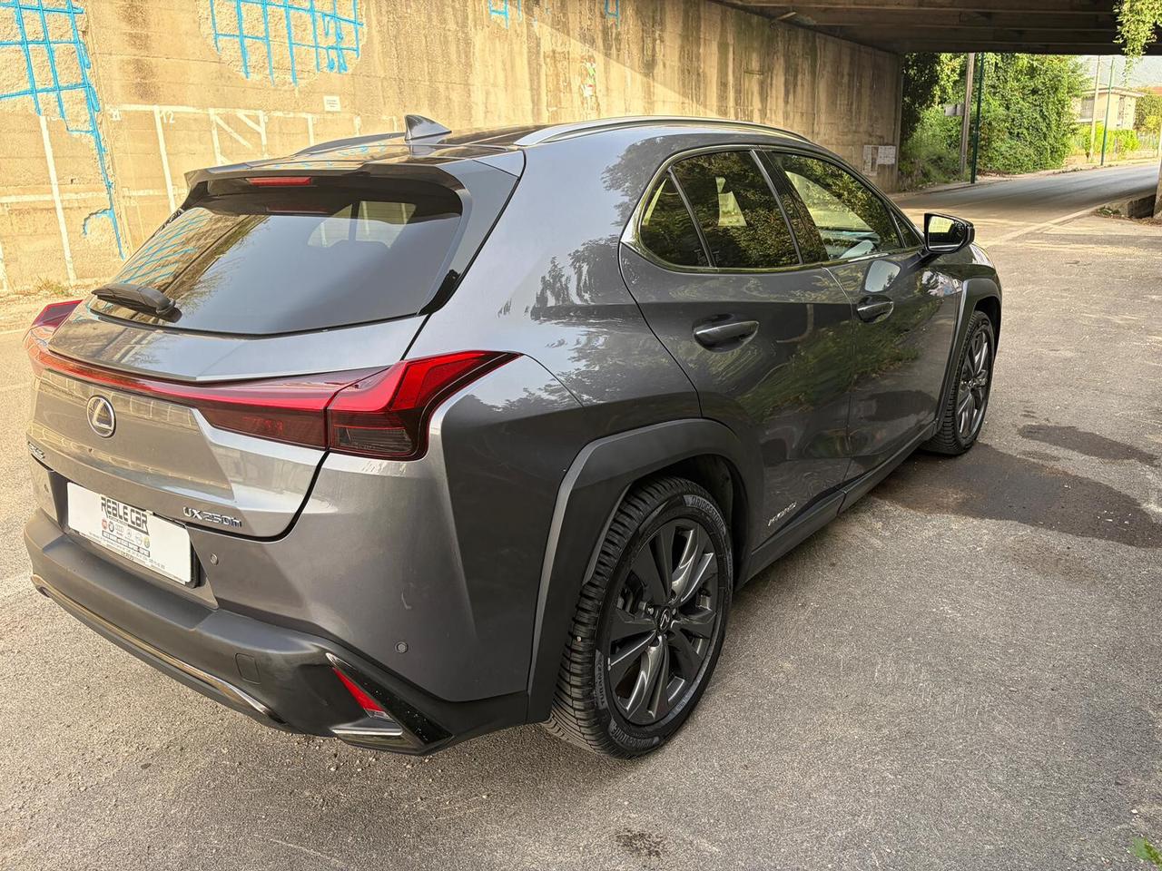 Lexus UX 2.0 Hybrid 152cv Tetto F Sport