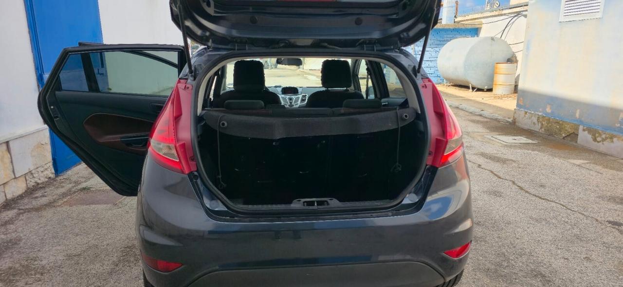 Ford Fiesta 1.4 TDCi 68CV 5 porte Titanium