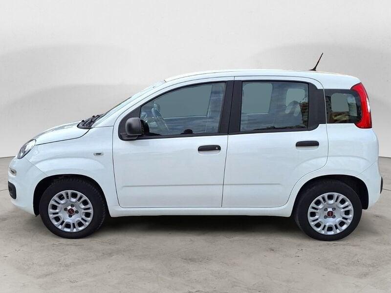 FIAT Panda 1.2 69 CV S&S Easy