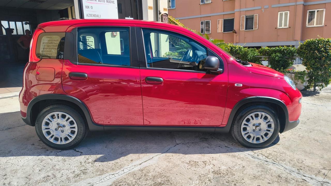 Fiat Panda 1.0 FireFly S&S Hybrid