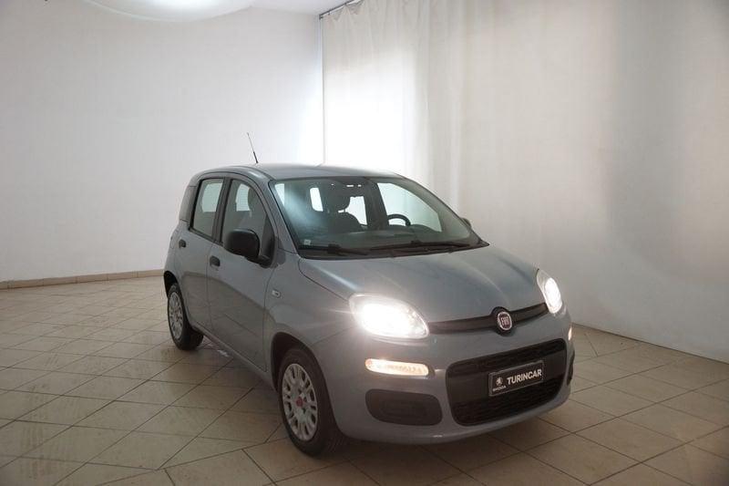 FIAT Panda 1.2 69cv E6d-Temp Easy
