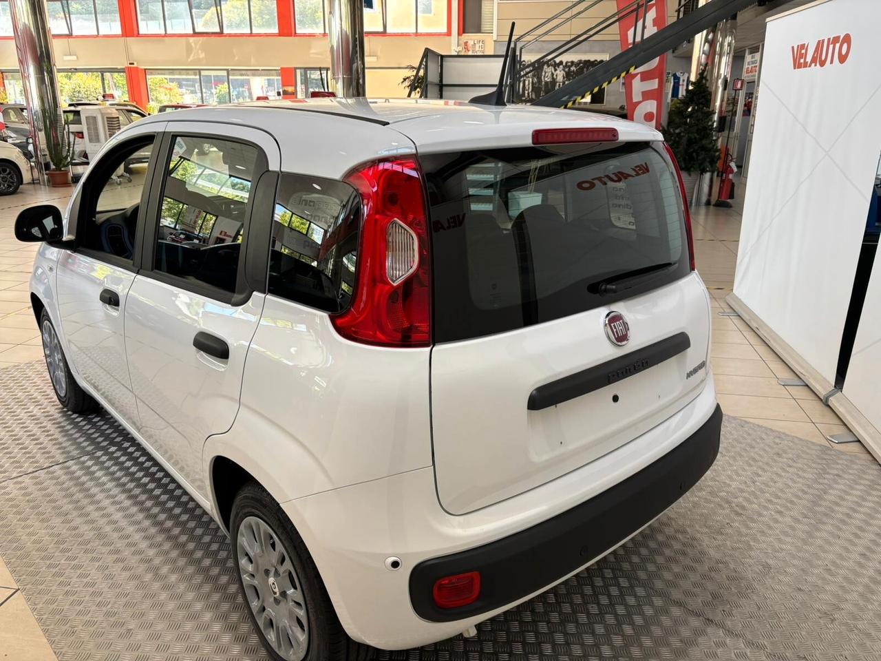 Fiat Panda Fiat Panda 1.0 FireFly S&S Hybrid