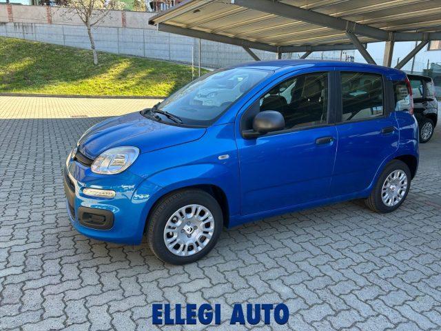 FIAT Panda PROMO FINANZ 1.0 HYBRID +PACK ICON KM 0