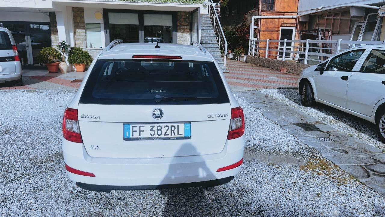 Skoda Octavia 1.6 TDI CR 110 CV Wagon Executive