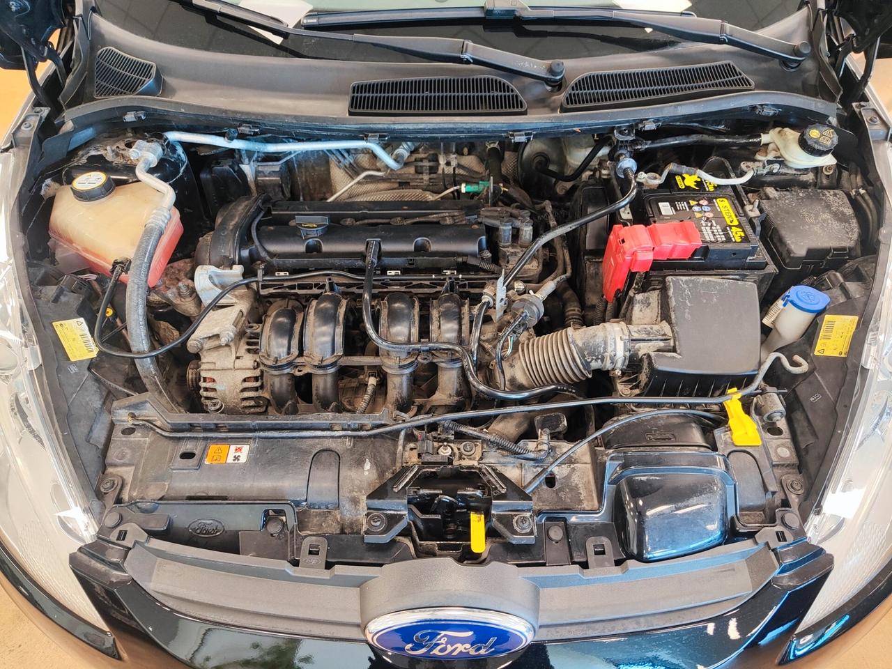 Ford Fiesta 1.2 82 CV 5 porte