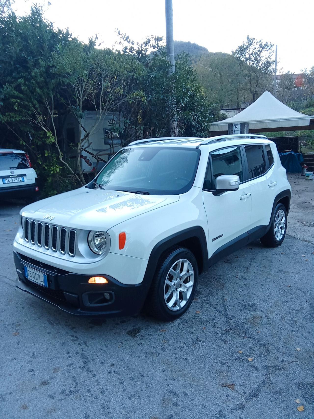 Jeep Renegade 1.6 Mjt 120 CV Limited 017