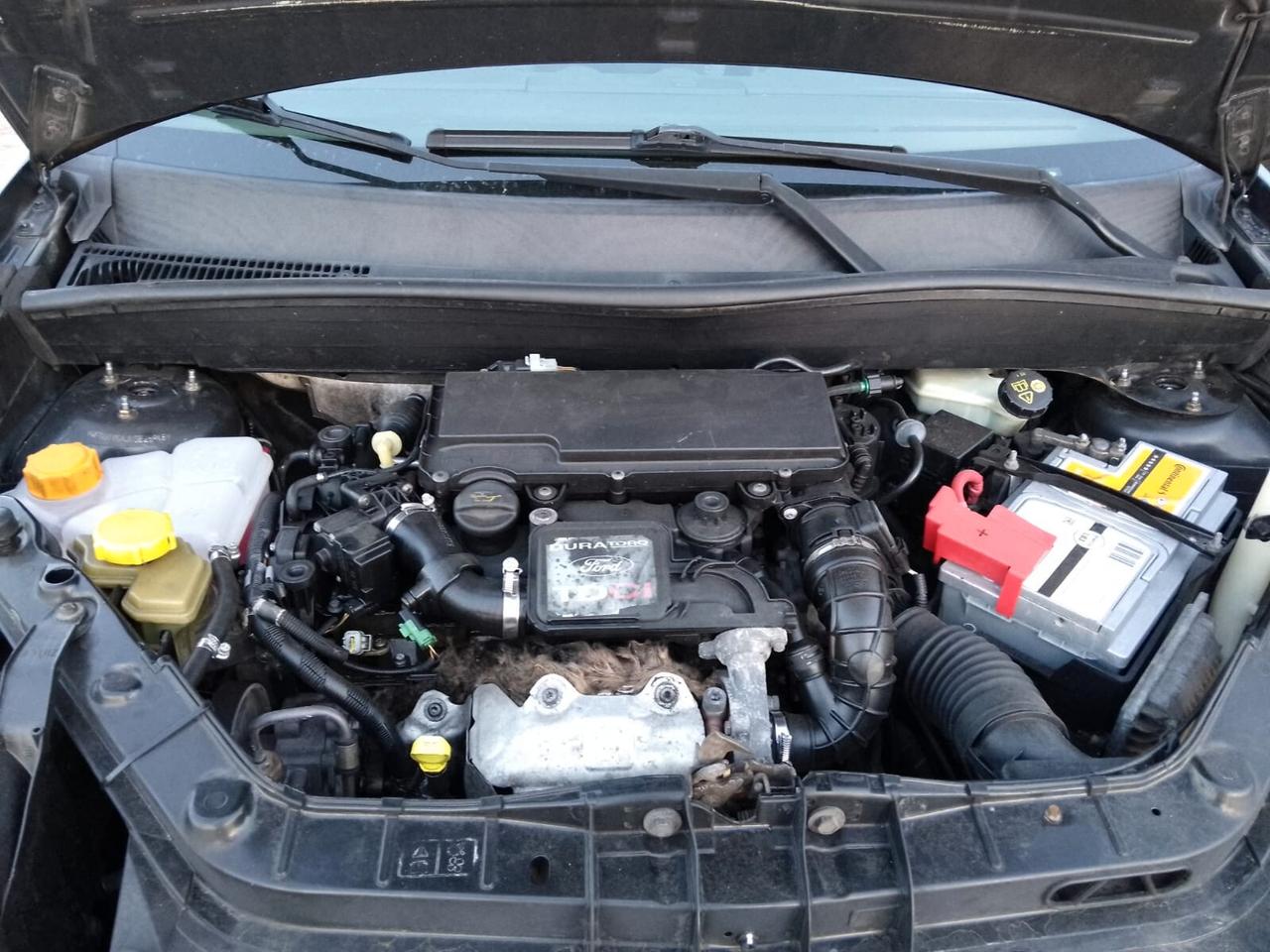 Ford Fusion 1.4 TDCi 5p. Collection