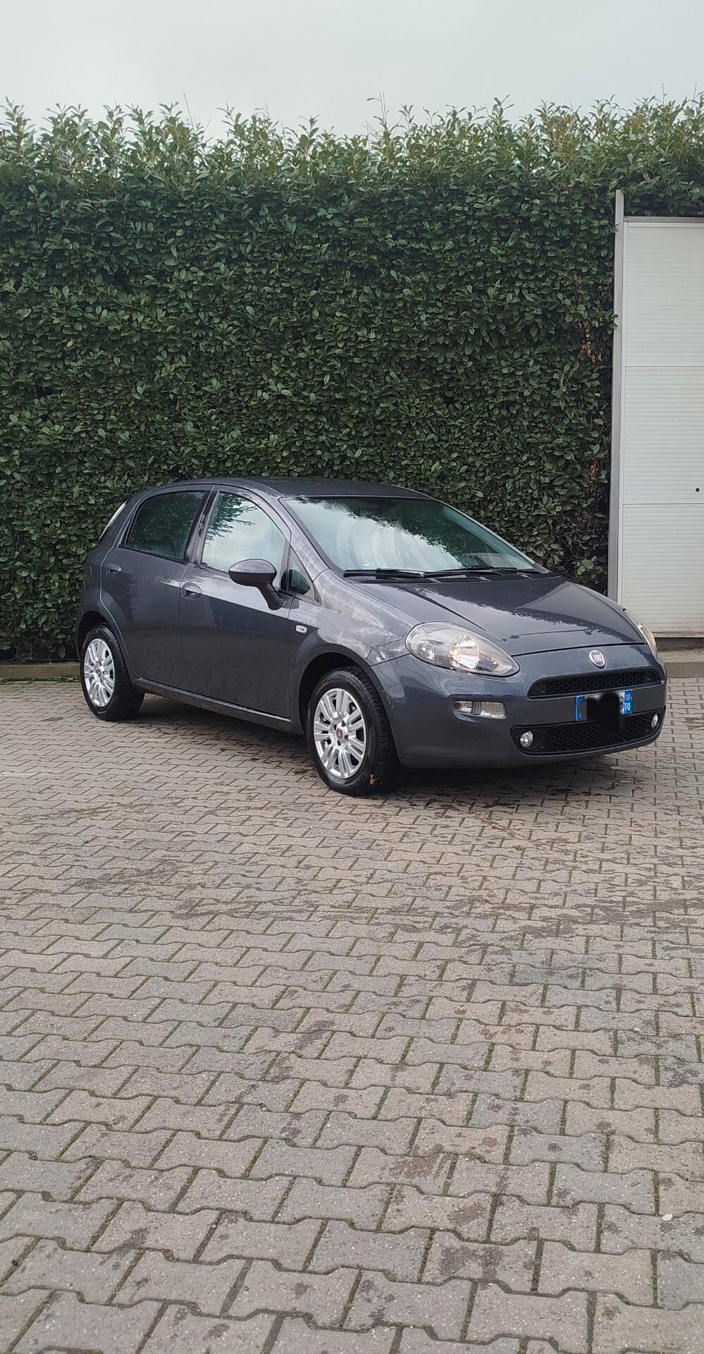 Fiat Punto Evo 1.2 5 porte 50th anniversario