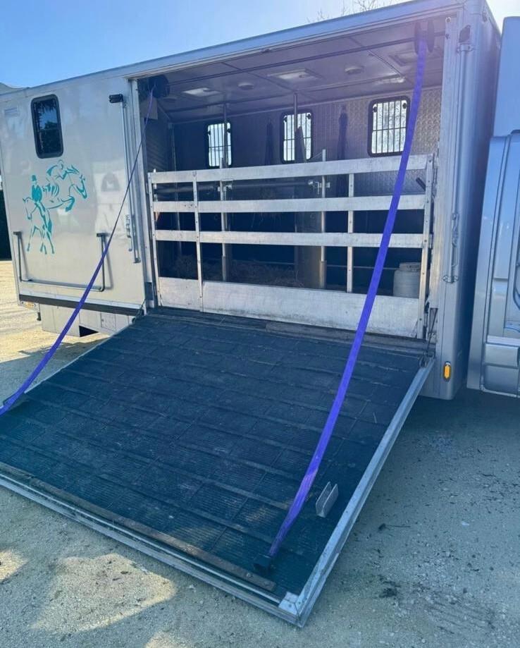 Iveco Daily 50 C11 trasporto per 3 cavalli patente B