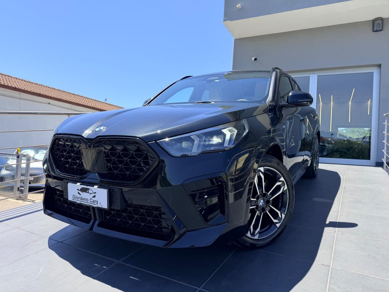 Bmw X2 xDrive 20d Msport Pro interni ghiaccio