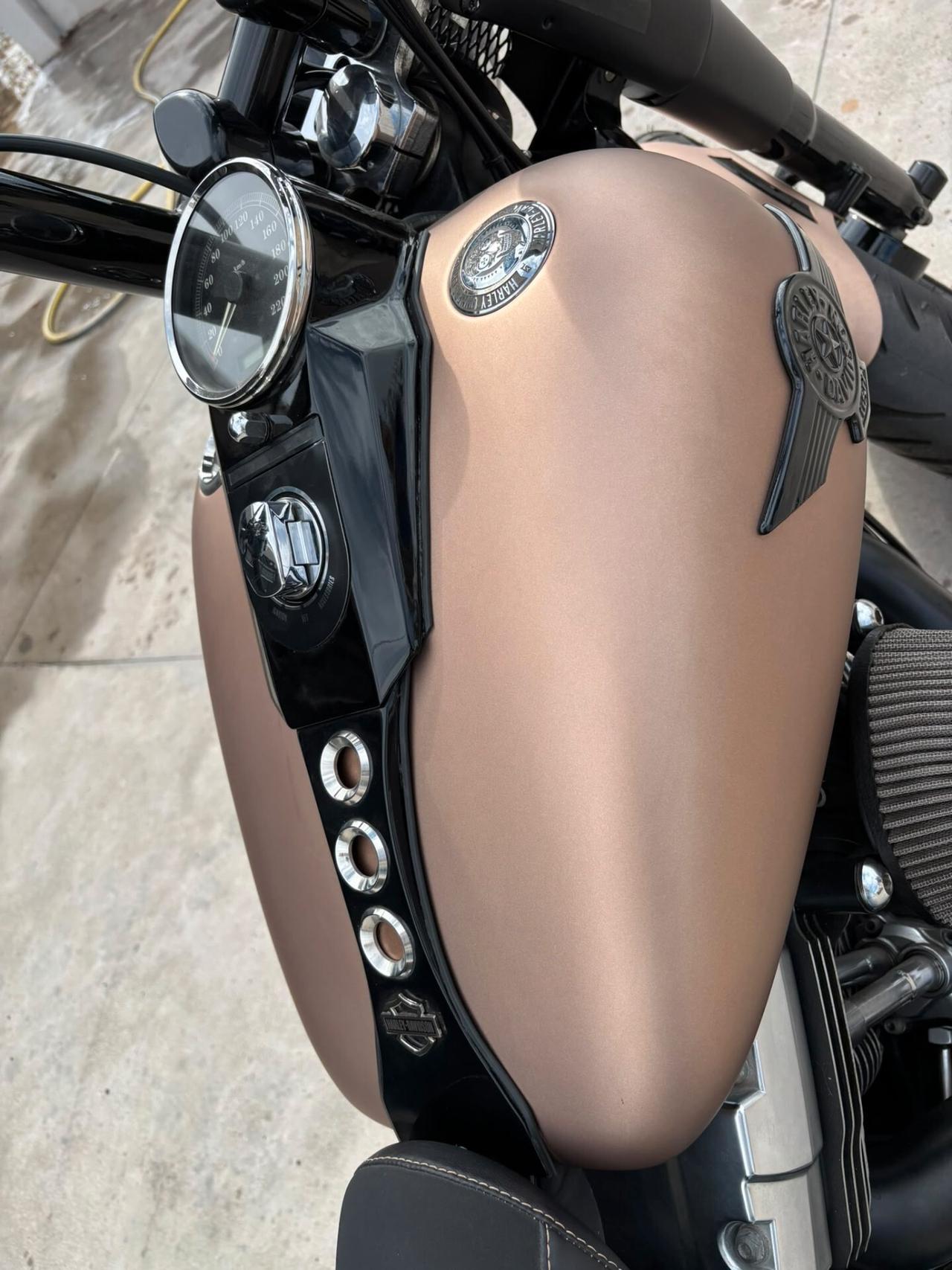 Harley-davidson Fat Boy