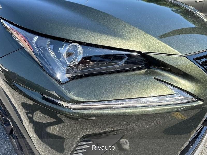 Lexus NX 300 h 2.5 Premium 4wd cvt