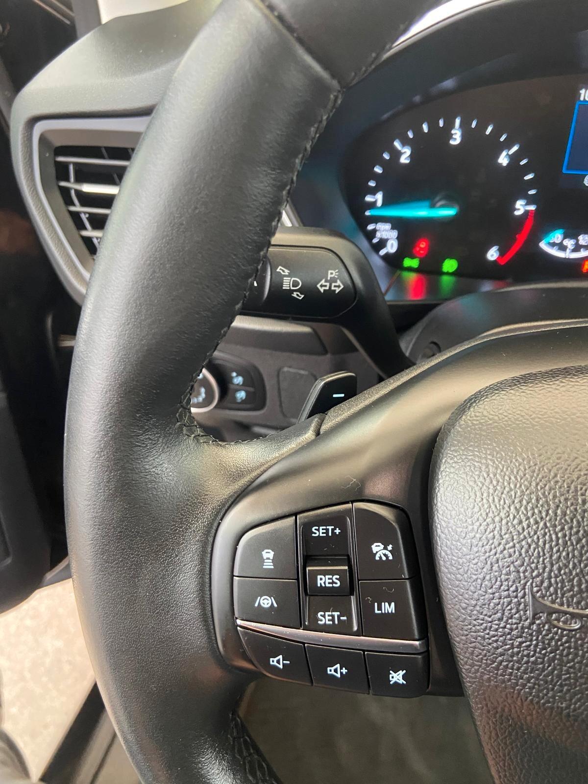Ford Focus 1.5 EcoBlue 120 CV automatico SW Business Co-Pilot