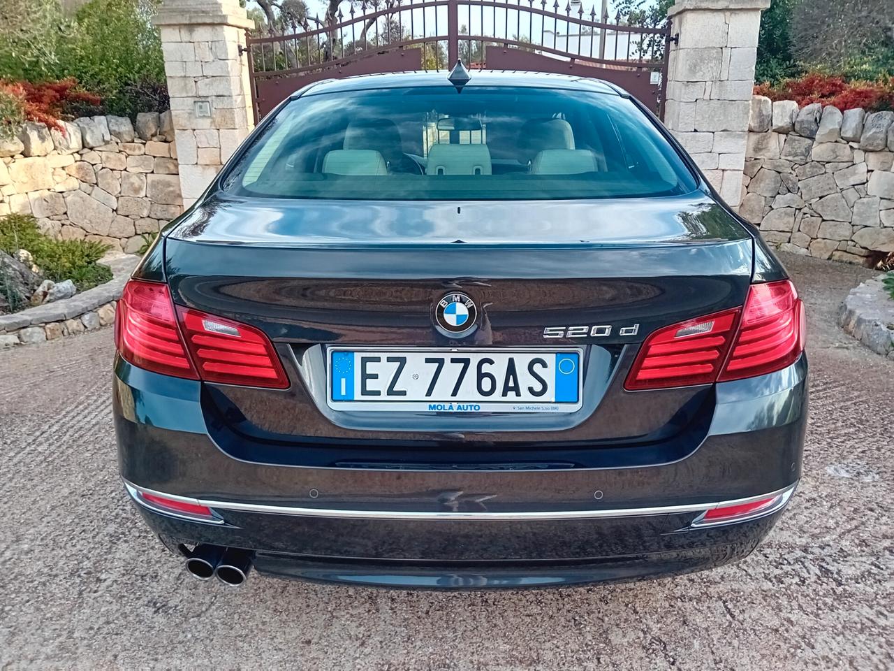 Bmw 520 520d berlina luxury