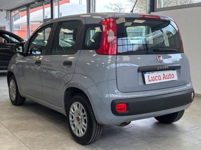 FIAT Panda 1.2 69CV *UNICO PROP.*DISTRIBUZ. FATTA*