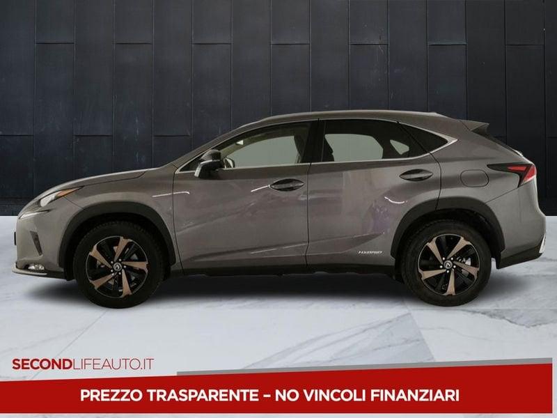 Lexus NX 300h 2.5 Premium 4wd cvt