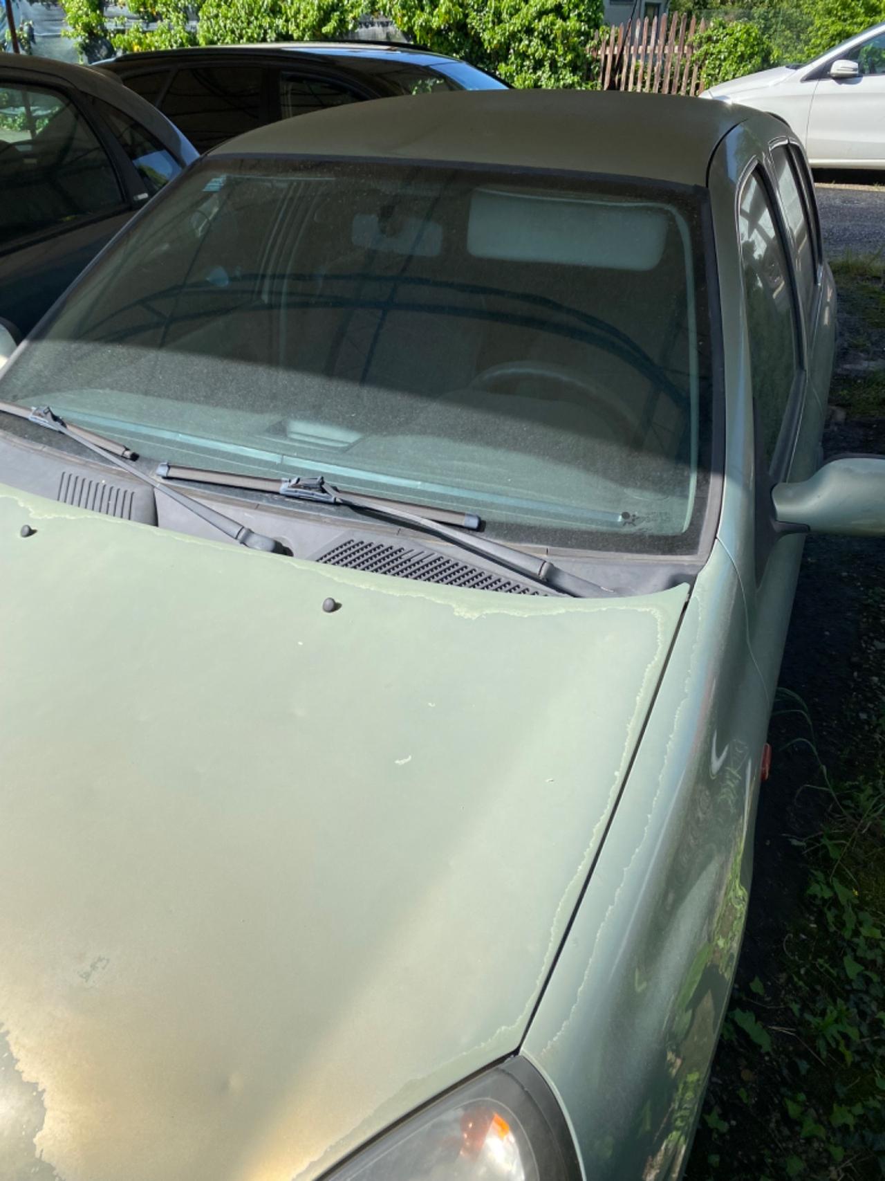 Renault Clio 1.2 16V cat 5 porte Privilège