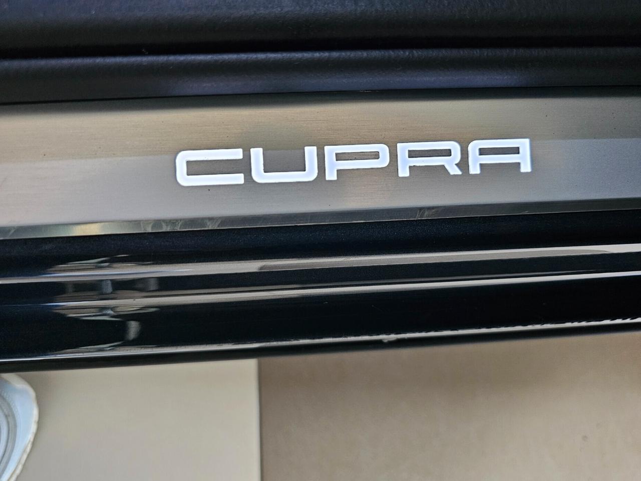 Cupra Formentor 2.0 TDI 4Drive DSG