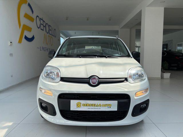 FIAT Panda 1.0 FireFly S&S Hybrid da ?119,00 mensili