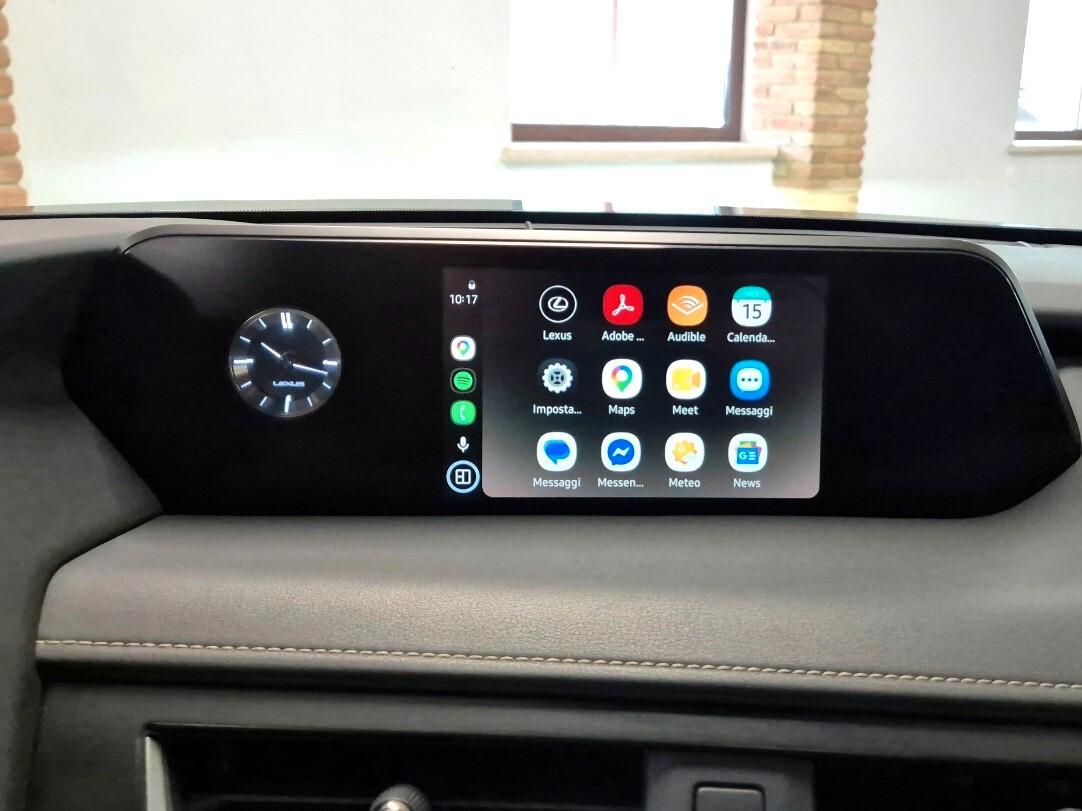 Lexus UX Hybrid 4WD Business