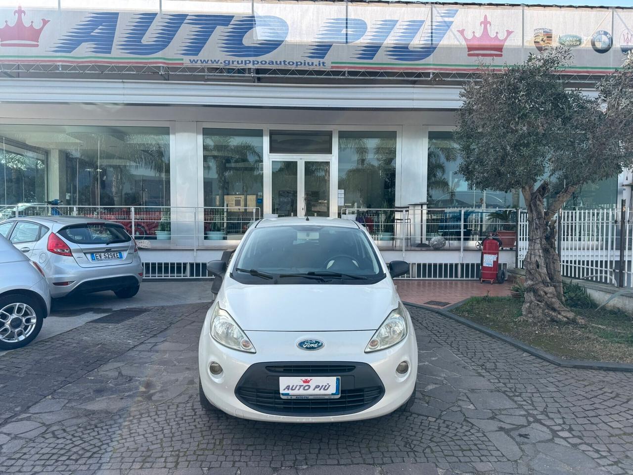 Ford Ka 1.2 8V 69CV Titanium operatori di settore