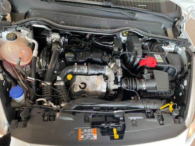 FORD Fiesta 1.5 TDCi 85CV Business UnicoProprietario IvaEsp