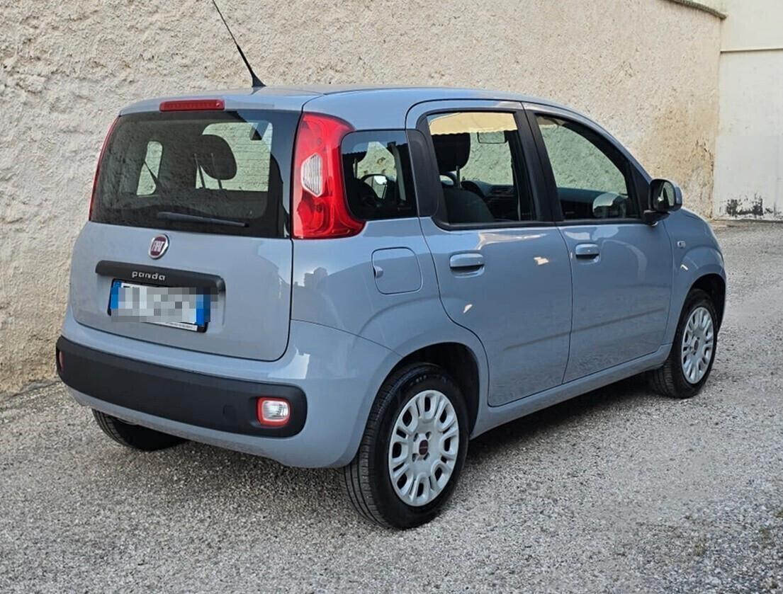 Fiat PANDA Easy 1.2 70CV