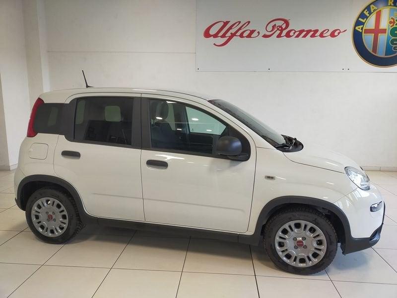 FIAT Panda 1.0 S&S Hybrid Van 2 posti