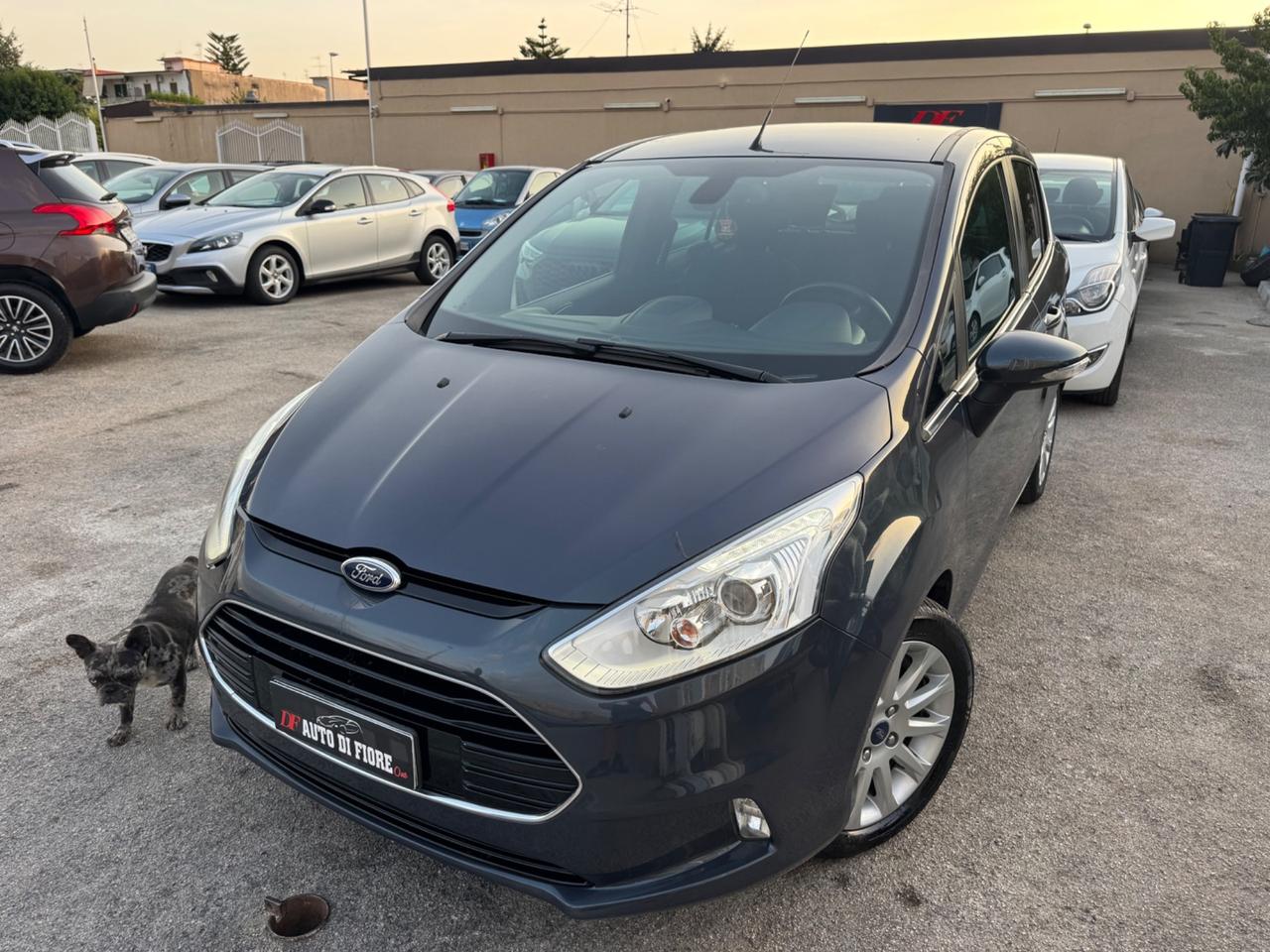 Ford B-Max 1.5 TDCi 75 CV Titanium NAVIGATORE