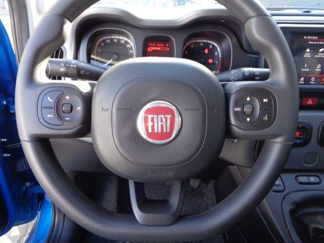 FIAT New Panda 1000 HYBRID CITY CROSS PLUS 70CV CARPLAY CLIMAUTO