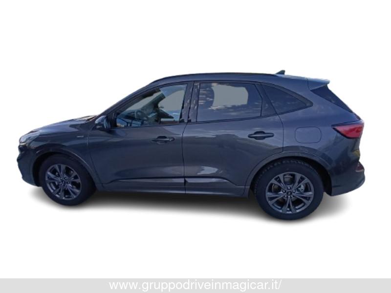 Ford Kuga Kuga 1.5 EcoBlue 120 CV 2WD ST-Line