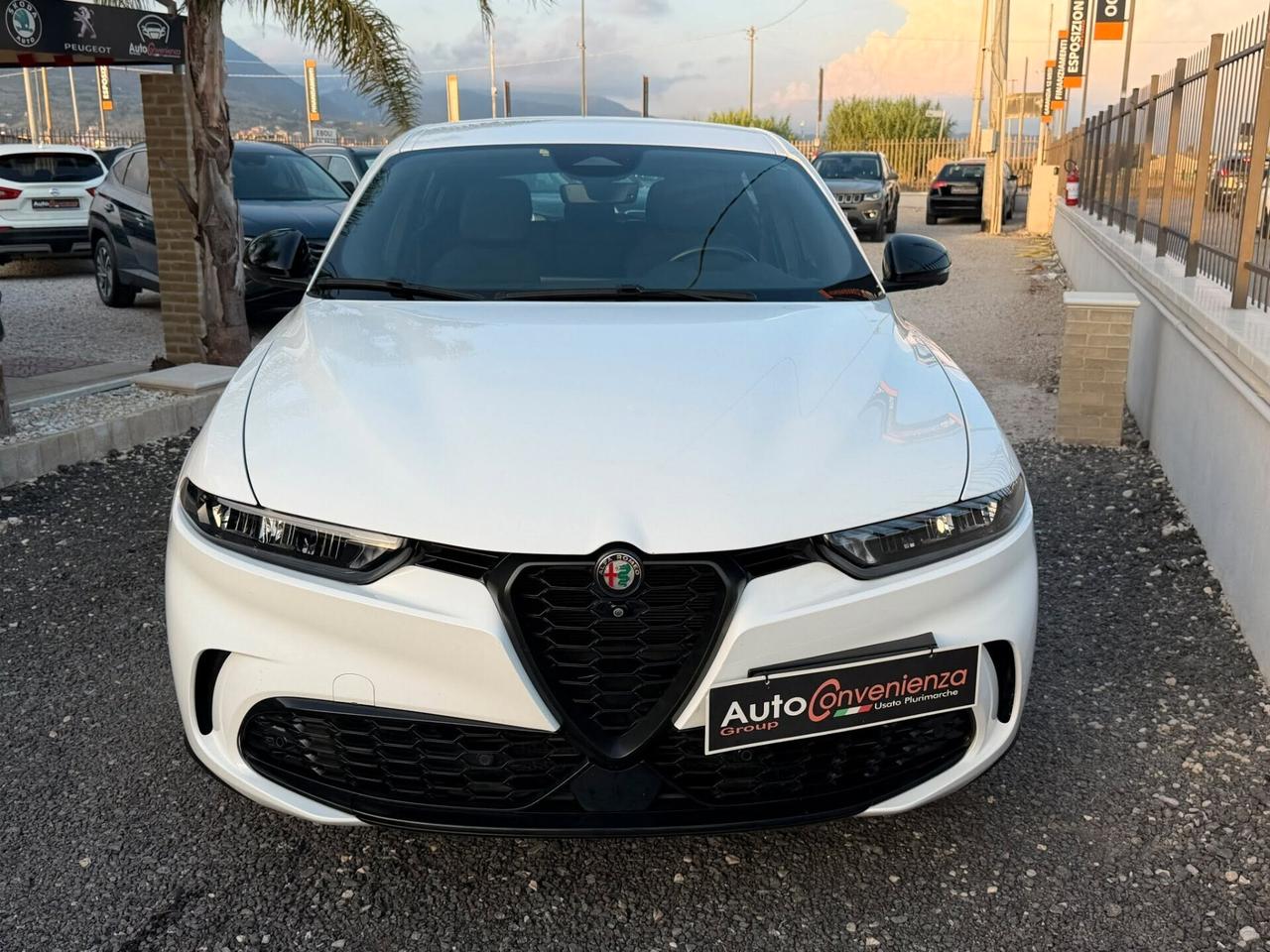 Alfa Romeo Tonale 1.6 diesel 130 CV TCT6 Sprint