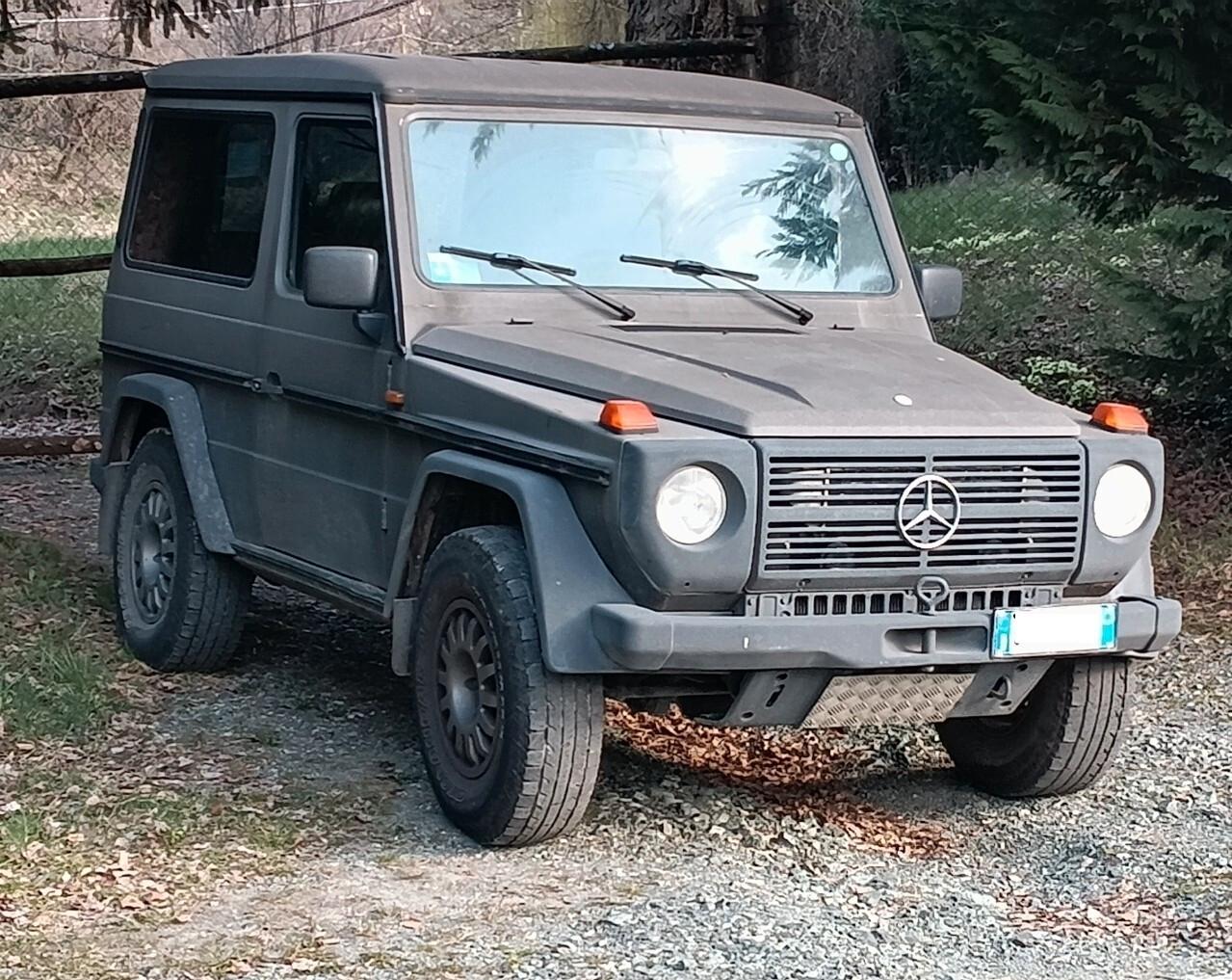 Mercedes-benz G 300GD