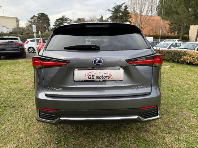 LEXUS NX 300 Hybrid 4WD Premium NAVI - LED - PELLE - TELEC - 18