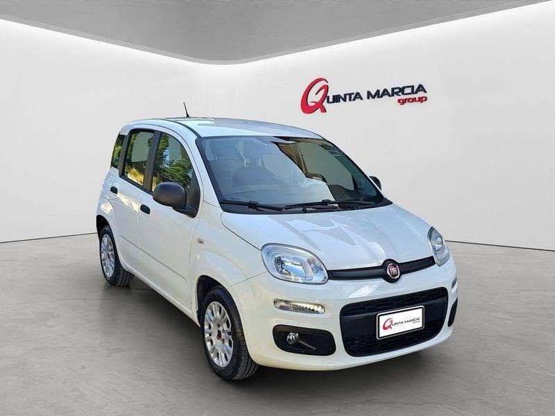 FIAT Panda 1.3 MJT 95 CV FENDINEBBIA/COMANDI AL VOLANTE (041)