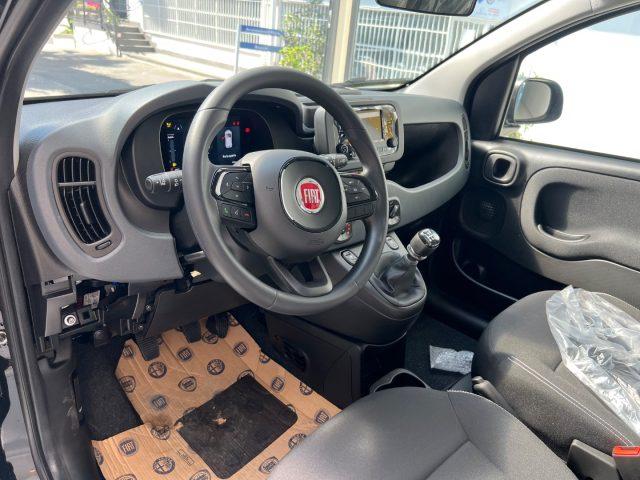 FIAT Panda 1.0 FireFly S&S Hybrid Icon tua da ?149,,00