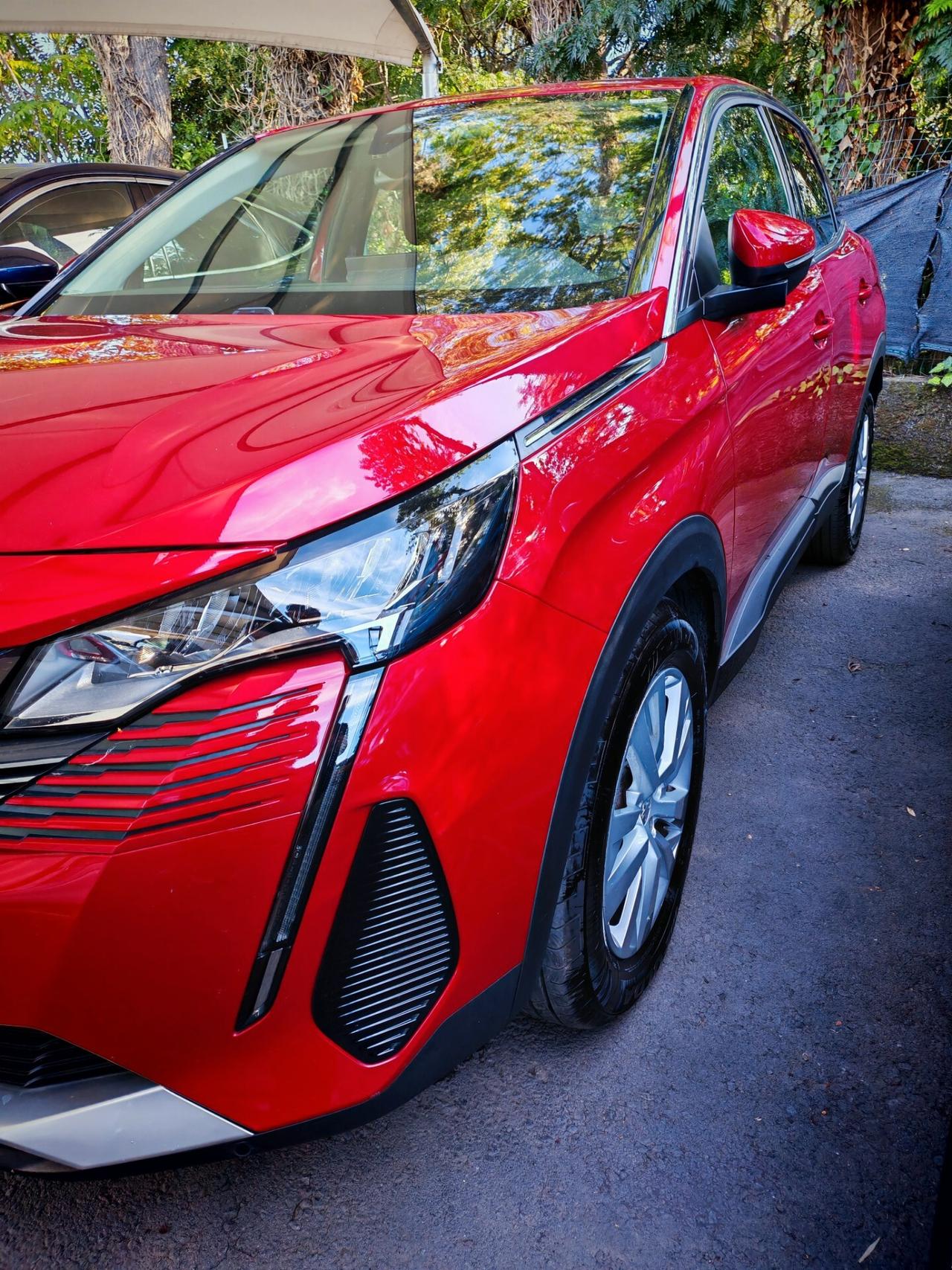 Peugeot 3008 BUSINESS