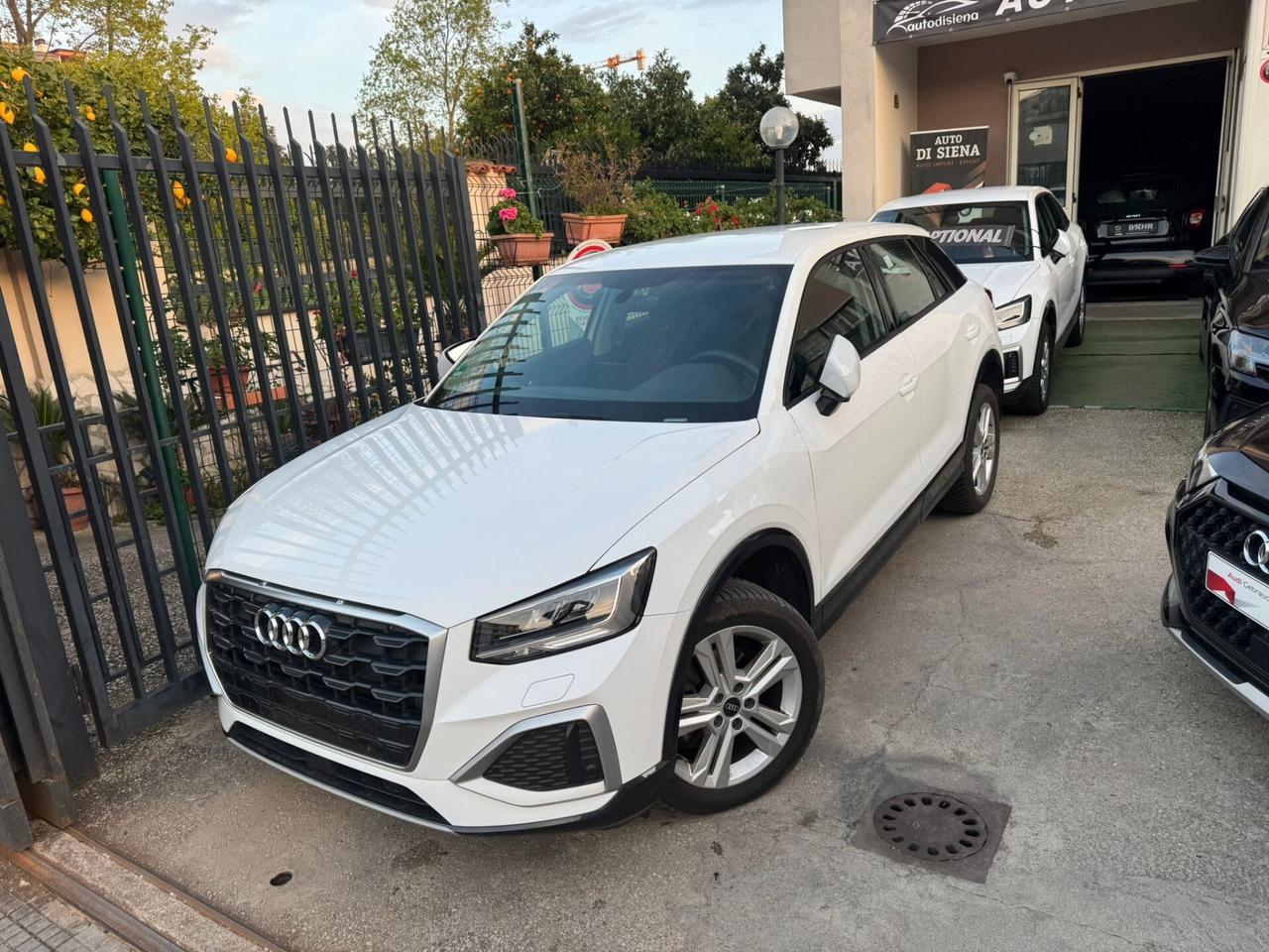 Audi Q2 30 TDI Business Identity x2 disponibili ufficiale audi IVA ESPOSTA