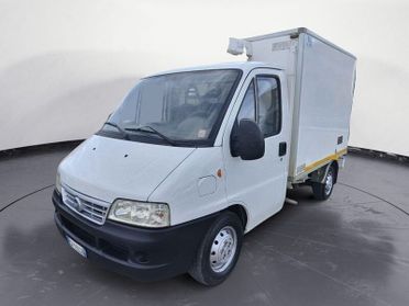 FIAT Ducato Ducato CABINATO CON CASSA FRIGO