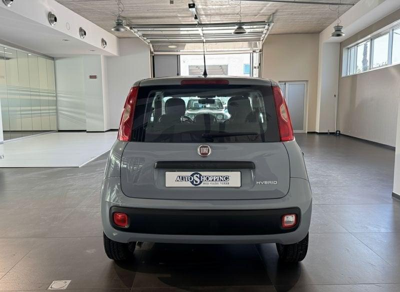 FIAT Panda 3ª serie 1.0 FireFly S&S Hybrid