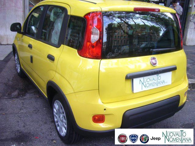 FIAT Panda 1.0 FireFly S&S Hybrid Pandina Urban Km 0