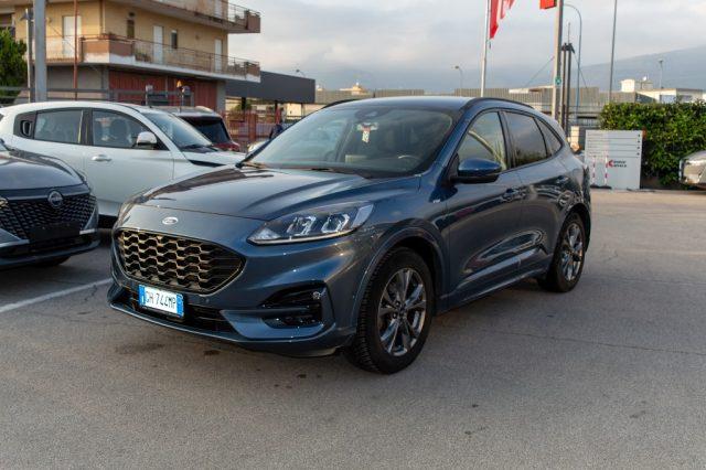 FORD Kuga 1.5 EcoBlue 120 CV aut. 2WD ST-Line