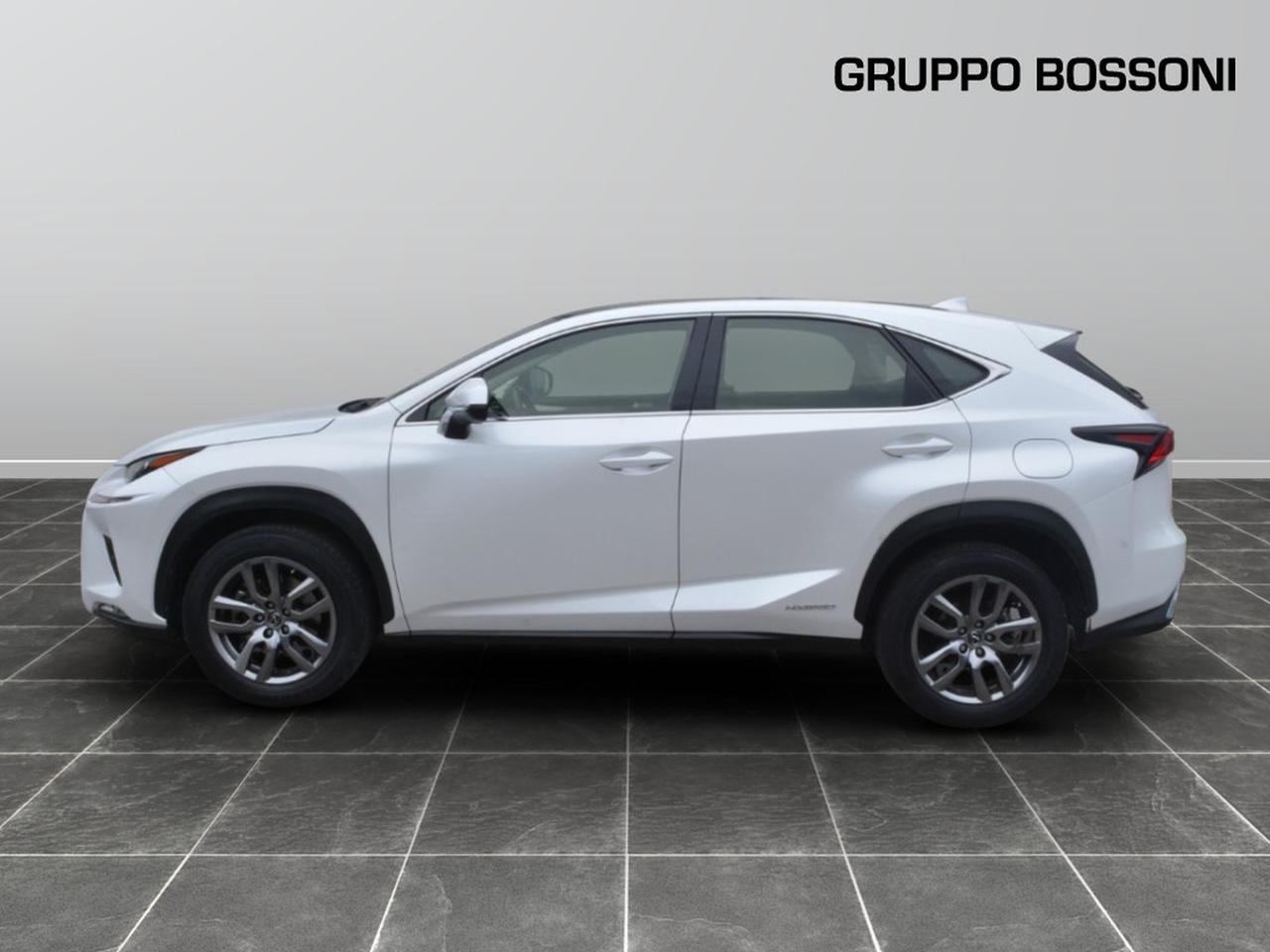 Lexus NX 300 2.5 hybrid luxury 4wd cvt