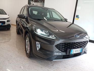 Ford Kuga 1.5 EcoBlue 120 CV 2WD