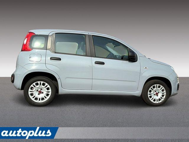 FIAT Panda 1,2 8V Easy