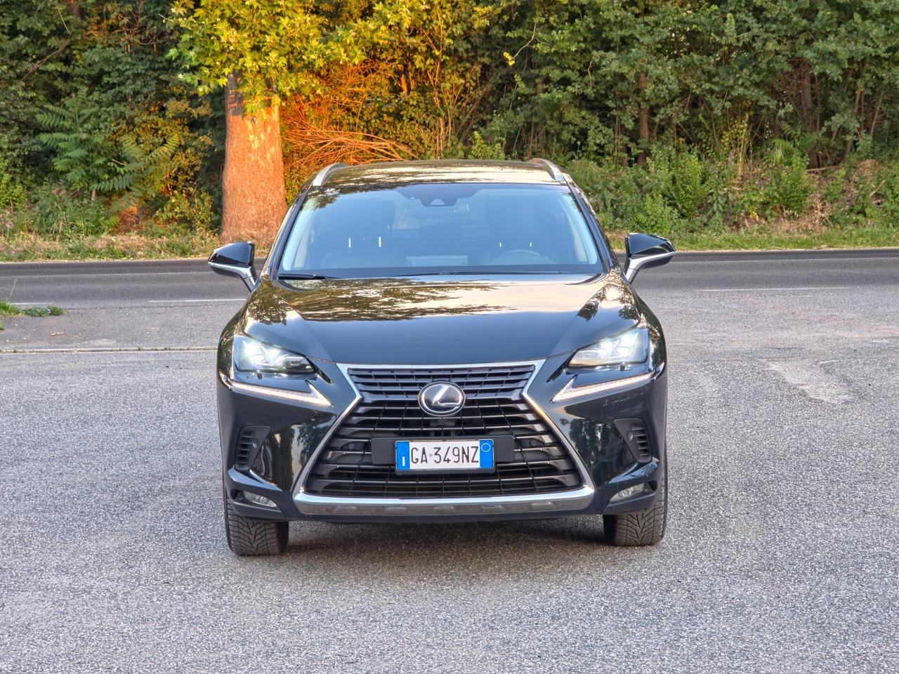 Lexus NX 300h Hybrid 4WD F-Sport E6 Automatico 2020