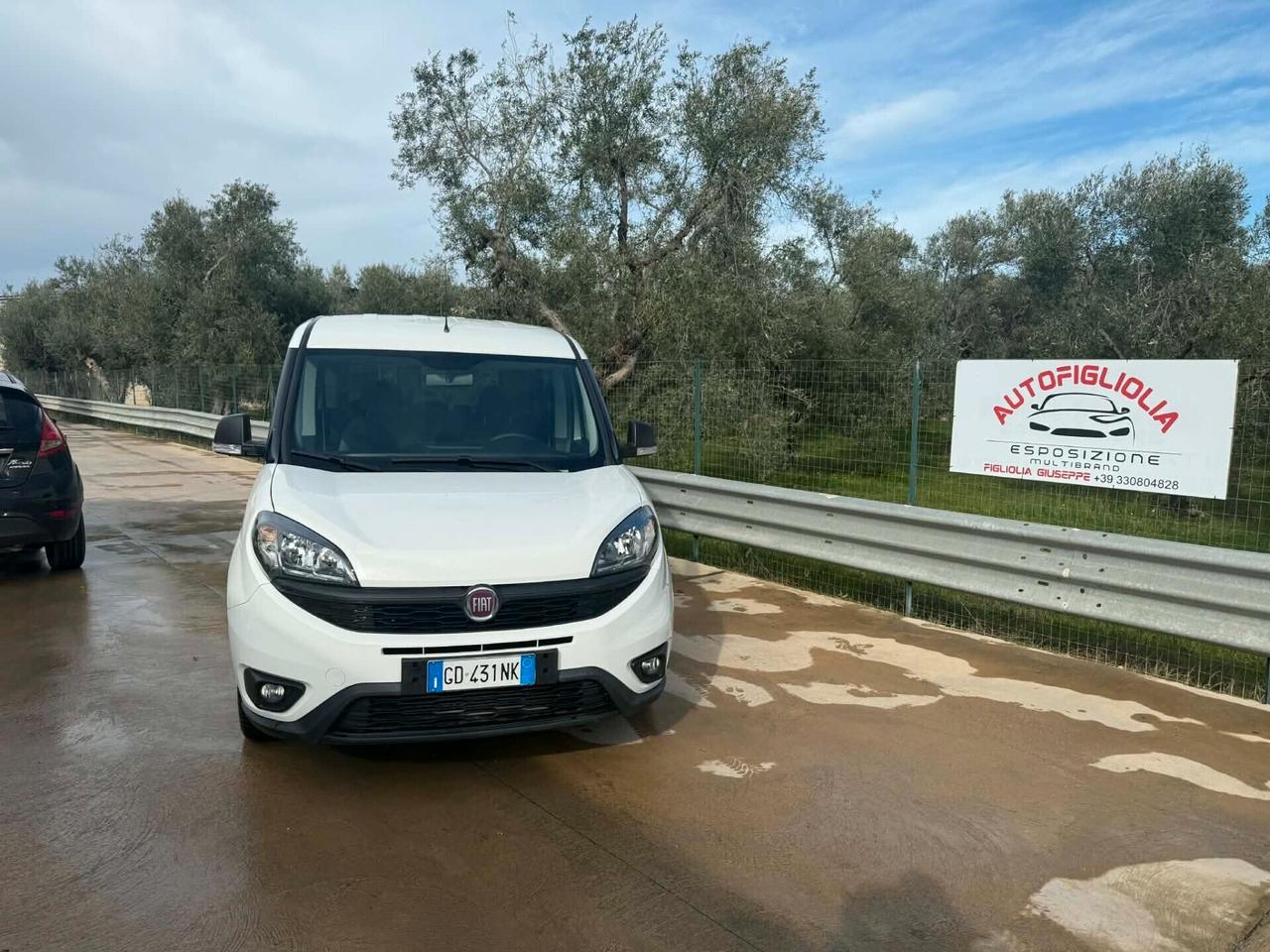 Fiat Doblo Doblò 1.6 MJT 105CV N1 IVA ESPOSTA