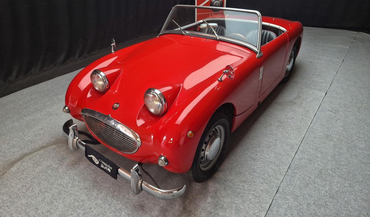 Austin Healey Altro Sprite “Frog Eye” ASI